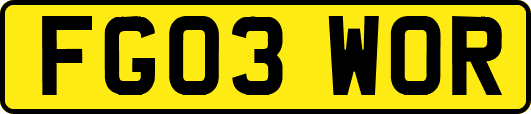 FG03WOR