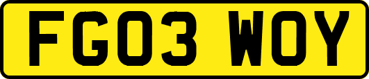 FG03WOY