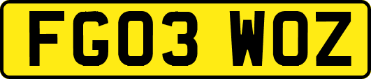 FG03WOZ