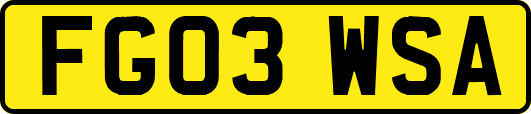 FG03WSA