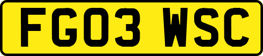 FG03WSC