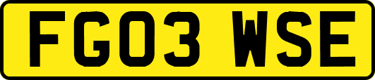 FG03WSE