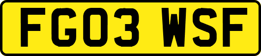 FG03WSF