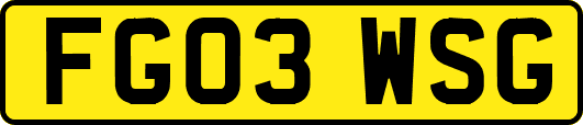 FG03WSG