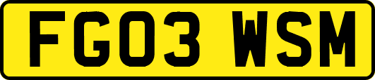 FG03WSM