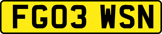 FG03WSN
