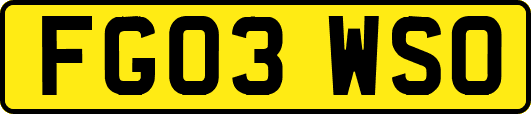 FG03WSO