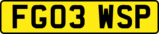 FG03WSP