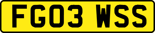 FG03WSS