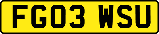 FG03WSU