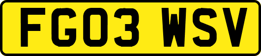 FG03WSV