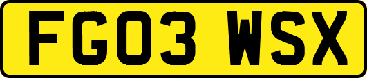 FG03WSX