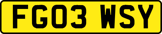 FG03WSY
