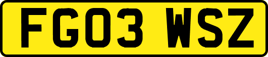 FG03WSZ