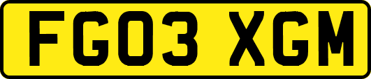 FG03XGM