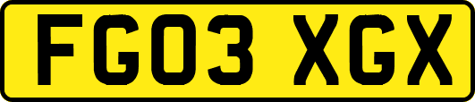 FG03XGX