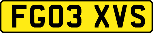 FG03XVS
