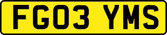 FG03YMS