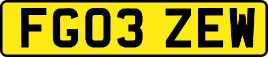 FG03ZEW