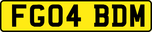 FG04BDM