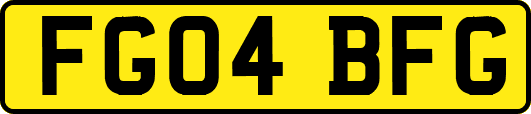 FG04BFG
