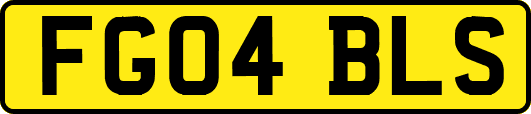 FG04BLS
