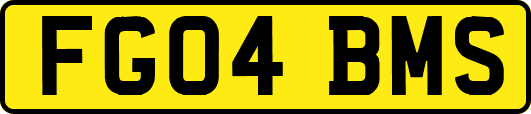 FG04BMS