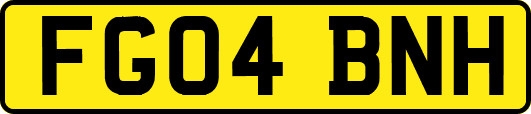 FG04BNH