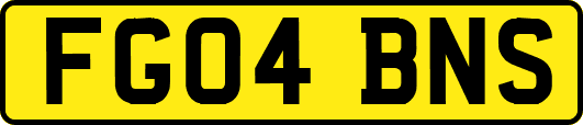 FG04BNS