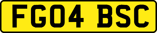 FG04BSC