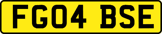 FG04BSE