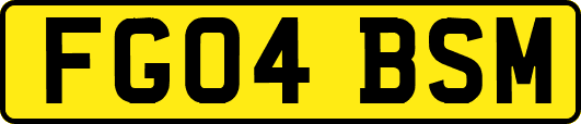 FG04BSM