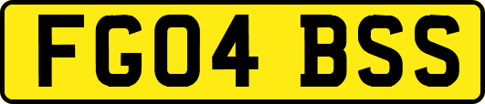 FG04BSS