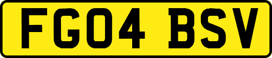 FG04BSV