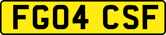 FG04CSF