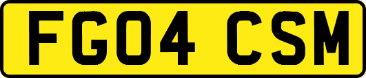 FG04CSM