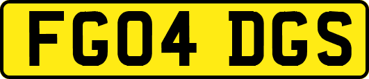 FG04DGS