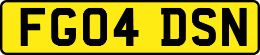 FG04DSN