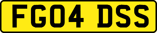 FG04DSS