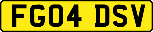 FG04DSV