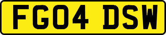 FG04DSW