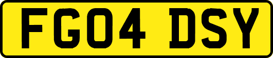FG04DSY