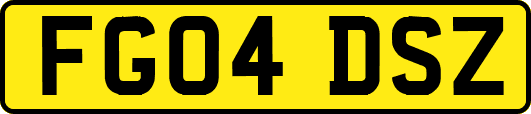 FG04DSZ