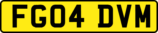 FG04DVM