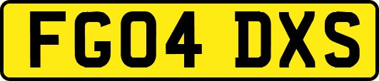 FG04DXS