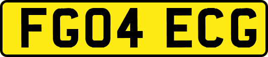 FG04ECG