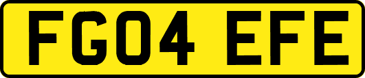FG04EFE