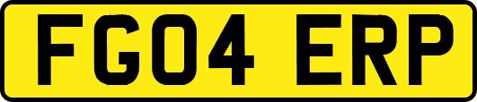 FG04ERP