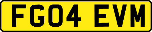 FG04EVM