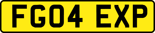 FG04EXP